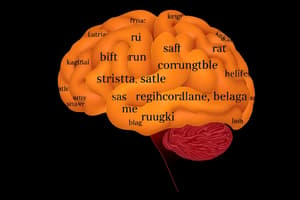 Tema 5: Neuropsicología del Lenguaje