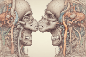 Human Respiratory System