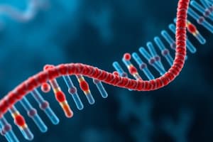 Biology: Mutations and Protein Synthesis