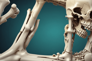 Bone Repair and Healing