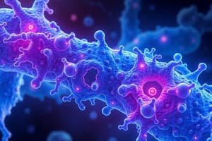 Protein Degradation - Proteasome Overview