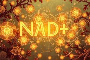 Biochemistry: NAD+ Electron Acceptance