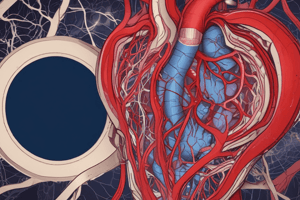 SBI 241 Week 6: Atherosclerosis and Hypertension