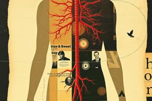 Endocrine System Overview