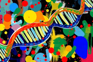 mRNA Processing Overview