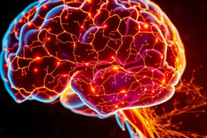 Neuroscience Somatosensory Pathways