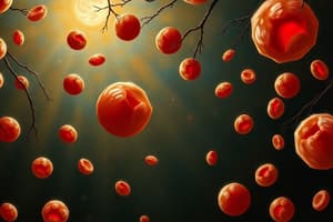 Hematopoiesis: Blood Cell Formation