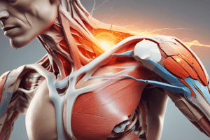 Acromioclavicular Joint Traumatic Sprain Quiz