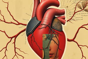 Circulatory System Overview