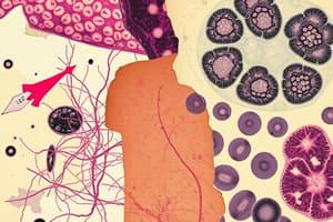 Introduction to Histology