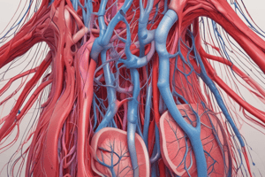 L23 Microcirculation and lymphatic system