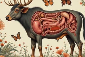 Animal and Human Nutrition & Excretory systems