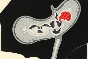 Pancreas Imaging: CT vs. MRI vs. Sonography