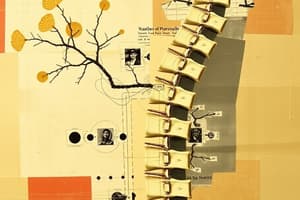 Spinal Segments and Nerve Plexuses Quiz