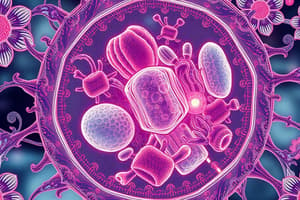 Cell Biology Overview