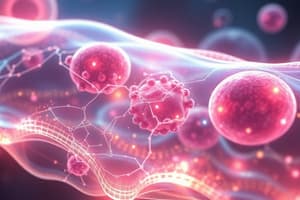 Biology Chapter 5: Body Temperature & Plasma Membrane