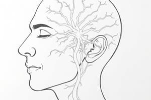 LSA 2 Cranial and Peripheral Nerve Disorders, Infection and Inflammation of the Nervous System