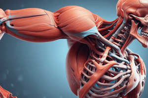 Drugs acting on Skeletal Muscle Systems Quiz