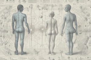 Population Medicine Study Designs