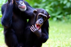 Jane Goodall: A Primatologist's Legacy