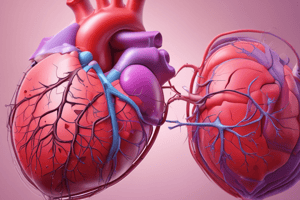 Décompensation Cardiaque et Diagnostic - Échocardiographie