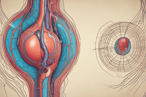 Biology Module 11: The Urinary System