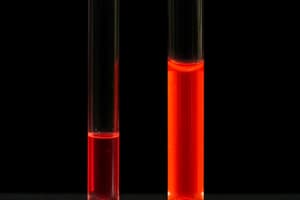 Chromatographie Grundlagen