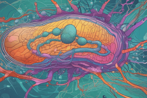 Cell Membrane and Diffusion