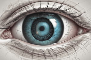 Eye Anatomy and Physiology Quiz: Visual Processing, Optic Nerve, Retina, Lens, Cornea