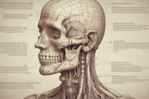 Medical Terminology Basics