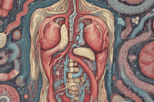 Digestive System Functions