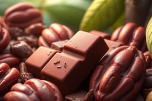 Mayan Chocolate Culture Quiz