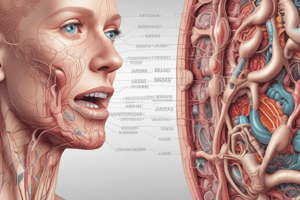 Digestive Tract: Oral Cavity