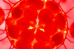 Cell Division Overview & Mitosis Stages