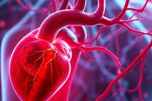 Cardiovascular System Summary