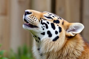 Behavior Modification Techniques