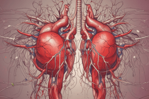 Cardiovascular System Symptoms