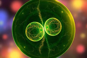 Cell Division Types: Mitosis and Meiosis