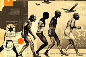 Human History and Evolution Quiz