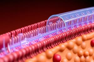 Molekülbewegung über Membranen