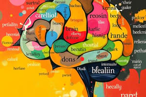 Vocabulary Quiz: Brain and Emotions