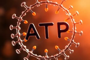 Biochemistry: ATP Structure and Energy Types