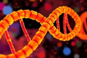 Biochemistry Chapter 8: Nucleotides and Acids