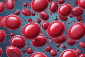 Biochemistry Quiz: Blood Types, Hyaluronan, and Carbohydrate Molecules