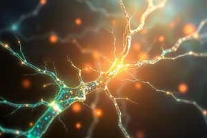 Annexe: Axonal Guidance Mechanisms