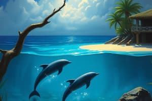 Island of the Blue Dolphins Ch. 24-29 Flashcards