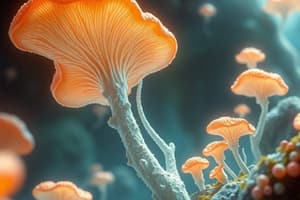 Characteristics of Fungi