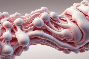 Sclerostin Inhibitors and Bone Formation Quiz