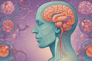 Neurology Assessment Quiz