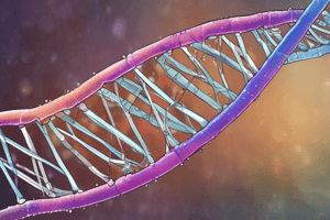 Molecular Genetics: DNA Replication and Mutagenesis